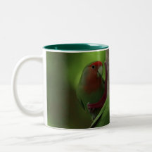 Bird green_iphone
