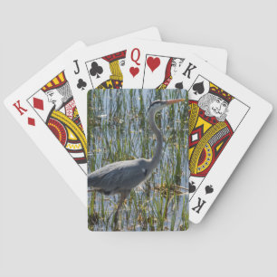 Bird Heron Closeup Marsh Photograph Casinokort