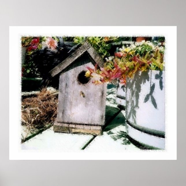 Bird House Poster (Framsidan)