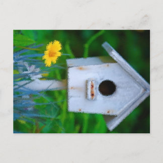 Bird House Vykort