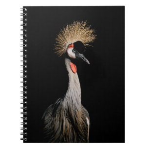 BIRD I BRAZIL ANTECKNINGSBOK