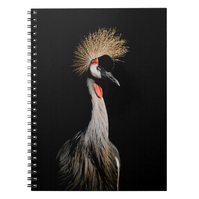 BIRD I BRAZIL ANTECKNINGSBOK (Framsidan)