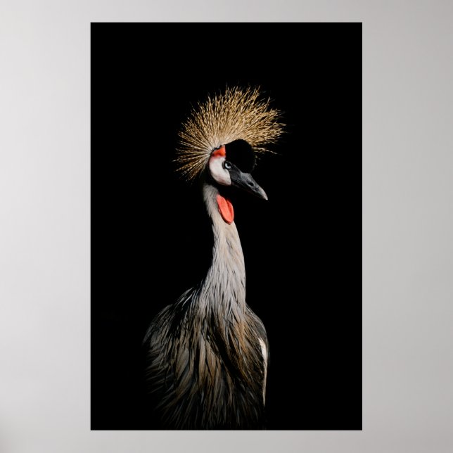 BIRD I BRAZIL POSTER (Framsidan)