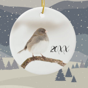 Bird i Snö 2023 jul Ceramic Ornament