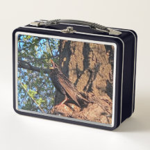 Bird Lunch Box