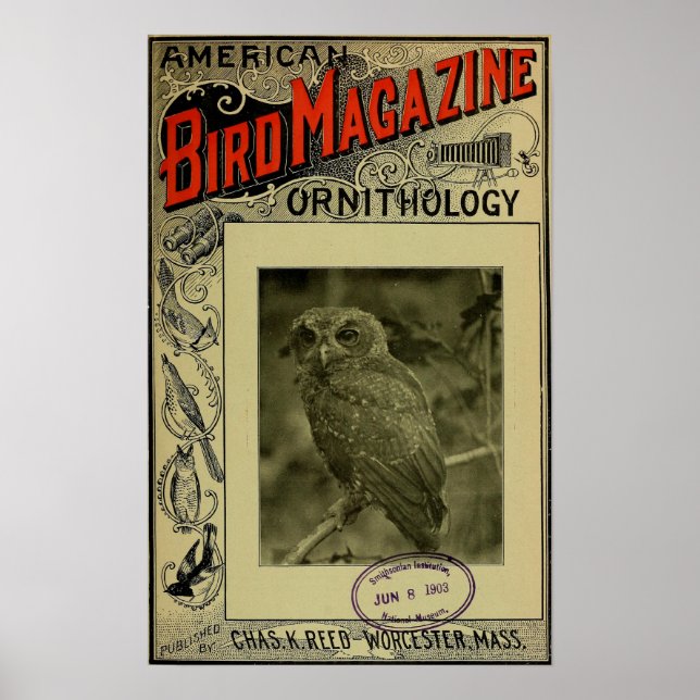 Bird Magazine jun 8 1903 Poster (Framsidan)