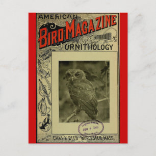 Bird Magazine jun 8 1903 Vykort