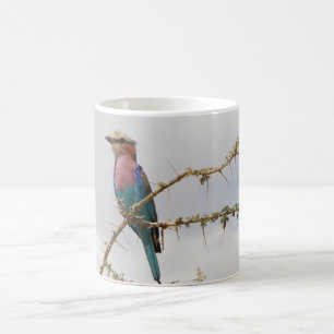 Bird Mugg