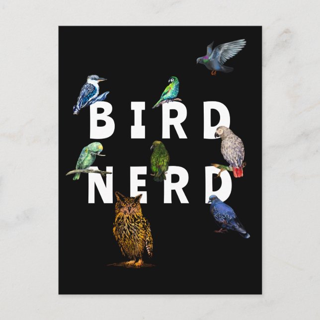 BIRD NERD, parroter, uggla, duvor, kookaburra Vykort (Framsida)