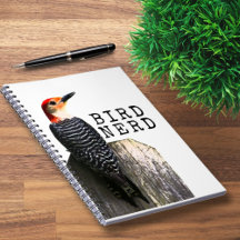 Bird Nerd Red-Belllied Woodpecker