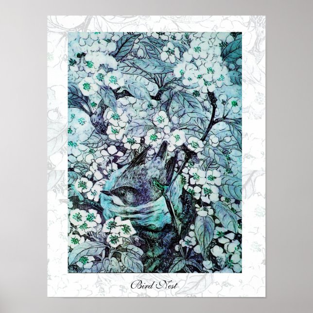 BIRD NEST,vit blå Poster (Framsidan)