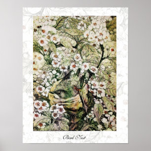BIRD NEST,vit brun grönt gult Poster