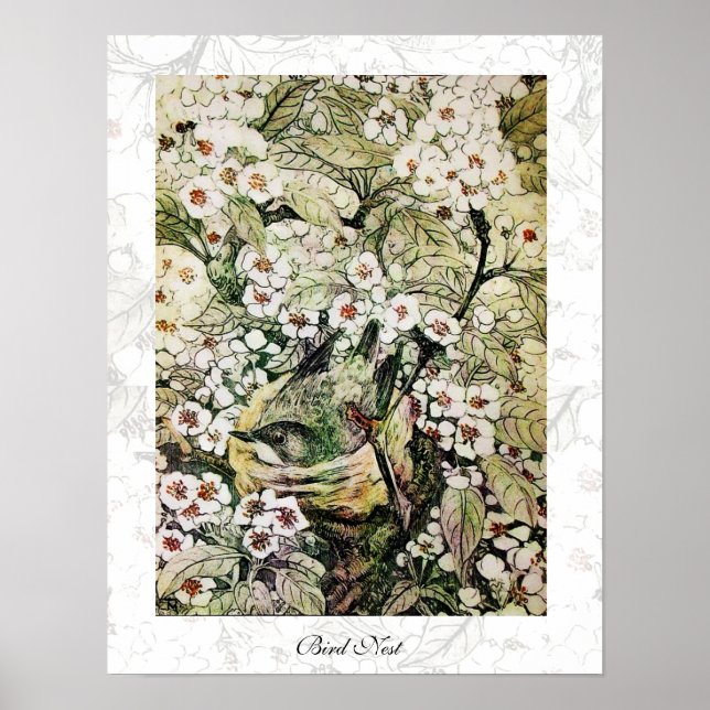 BIRD NEST,vit brun grönt gult Poster (Framsidan)