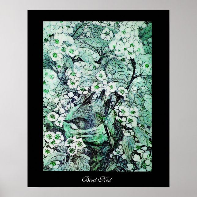 BIRD NEST,vit grönt svart Poster (Framsidan)