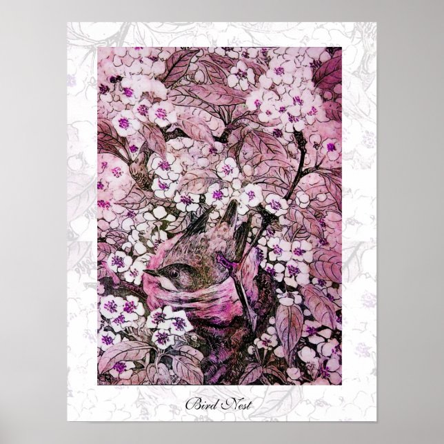 BIRD NEST,vit röd rosa violett Poster (Framsidan)