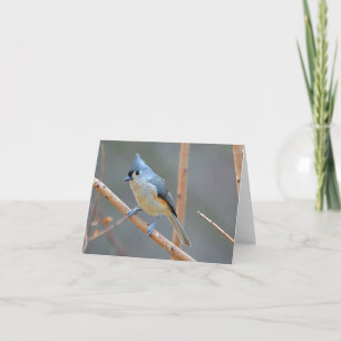 Bird Notecard Helgkort
