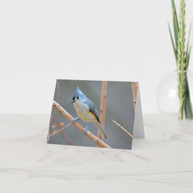 Bird Notecard Helgkort (Framsida)