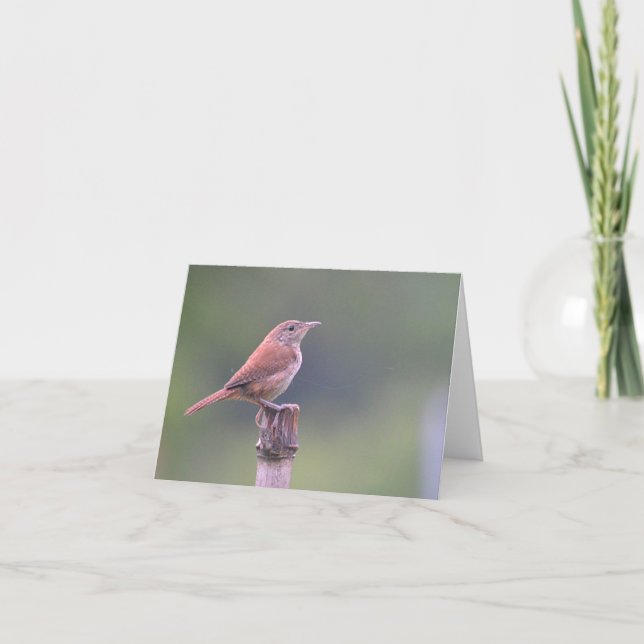 Bird Notecard Kort (Framsida)
