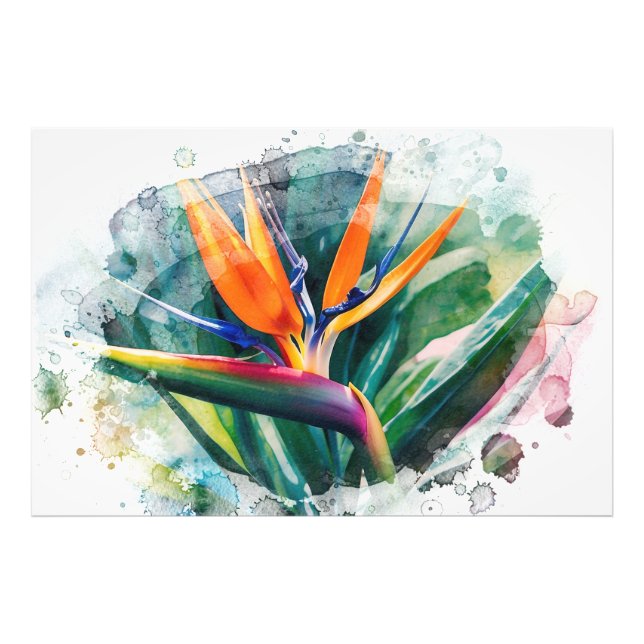 *~* Bird of Paradise AP10 Art Painting #2 Fototryck (Framsidan)