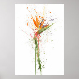 Bird of Paradise Poster