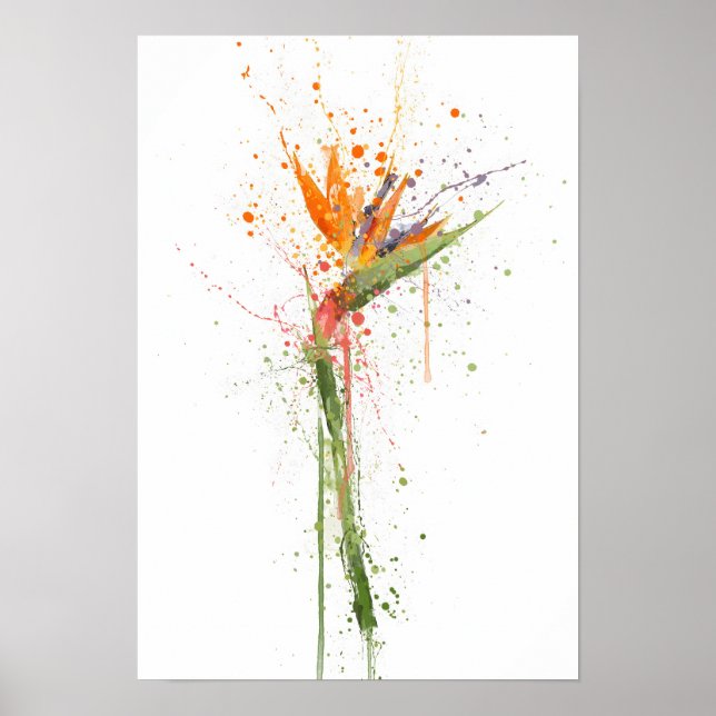Bird of Paradise Poster (Framsidan)