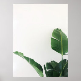 Bird of Paradise Tropical Plant Photography Poster