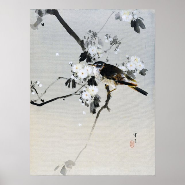 Bird on a Cherry Blommar Gren, Watanabe Seitei Poster (Framsidan)