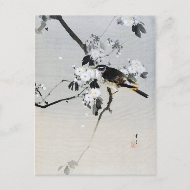 Bird on a Cherry Blommar Gren, Watanabe Seitei Vykort (Framsida)