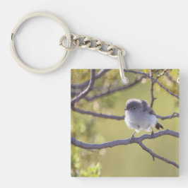 Bird on Twig (Bushtit)