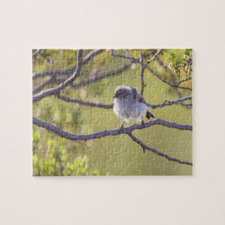 Bird on Twig (Bushtit) Puzzle Pussel