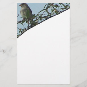 Bird på Gren Brevpapper