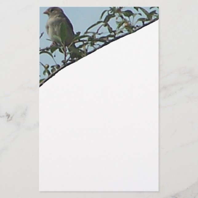 Bird på Gren Brevpapper (Framsida)
