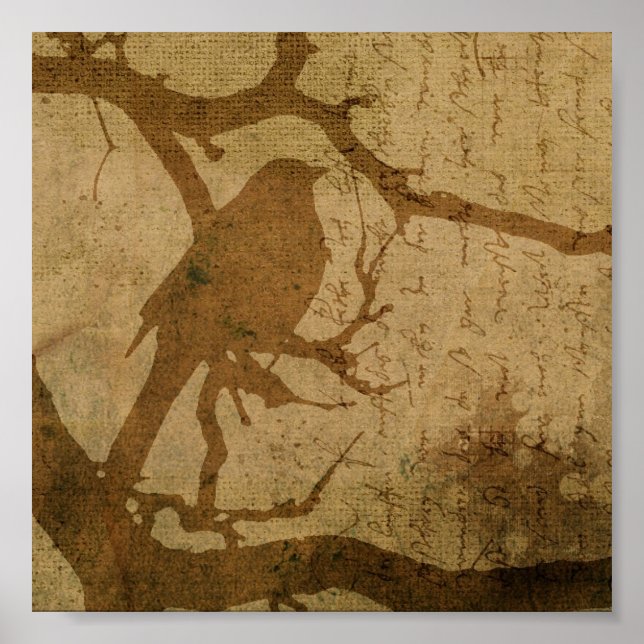 Bird på Gren i Brown Poster (Framsidan)