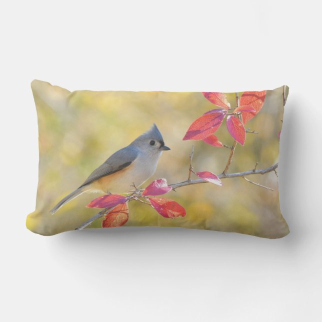 Bird på Gren Lumbar Dekorativ kudde (Framsida)