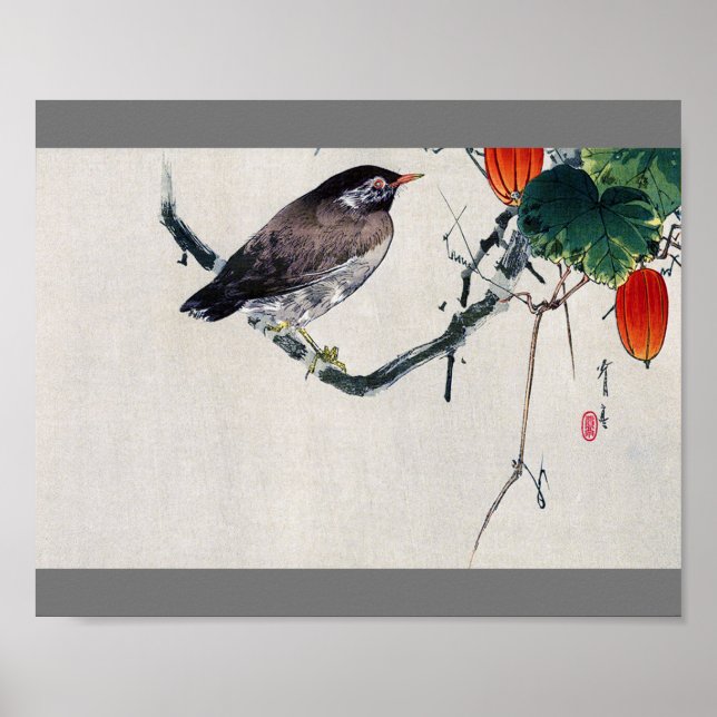 Bird på Trichosanthes Gren, Watanabe Seitei Poster (Framsidan)