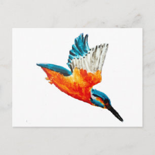 Bird Painting Flies Kingfisher Vykort