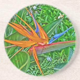 Bird Paradise Hawaii underläggs Underlägg Sandsten
