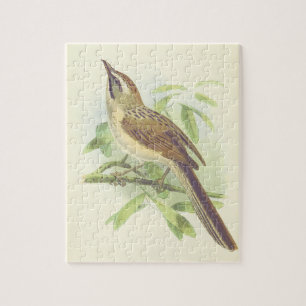 Bird Perched på en Gren-puzzel i Träd Pussel