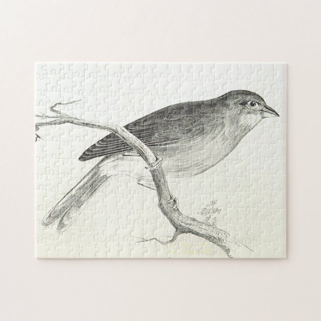 Bird Perching på en Gren Puzzle Pussel (Horisontell)