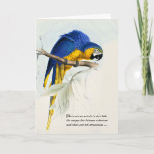 Bird Pet Sympathy Blue och Guld Macaw Parrot Kort