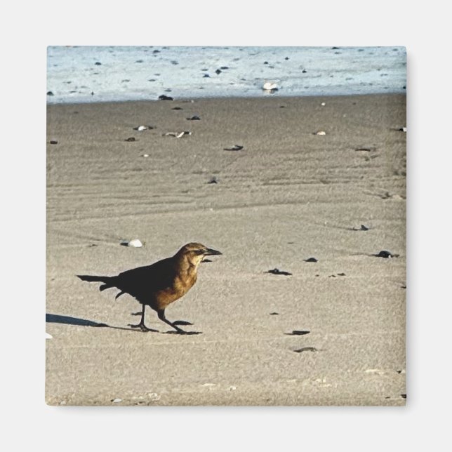 Bird Photo Magnet (Framsidan)