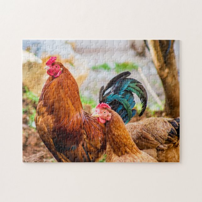 Bird Photograph Best Wildlife Photos Pussel (Horisontell)