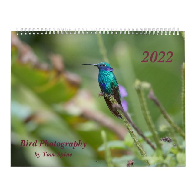 Bird Photography by Tom Spine, 2022 Kalender (Omslag)