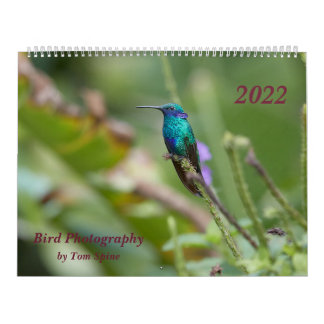 Bird Photography by Tom Spine, 2022 Kalender