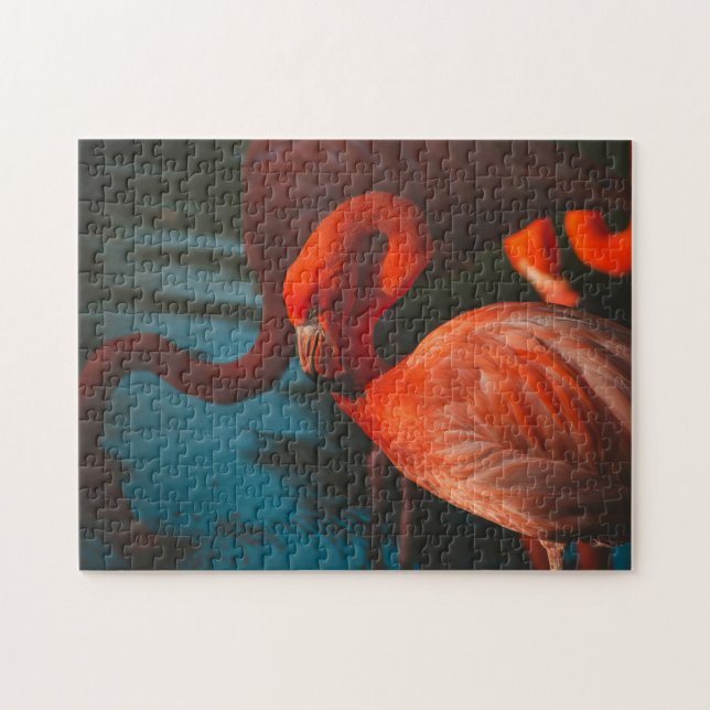Bird Puzzles Bird Photograph Best Wildlife Photos Pussel (Horisontell)