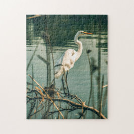 Bird Puzzles Bird Photograph Best Wildlife Photos Pussel
