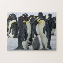 Bird Puzzles Bird Photograph Best Wildlife Photos Pussel