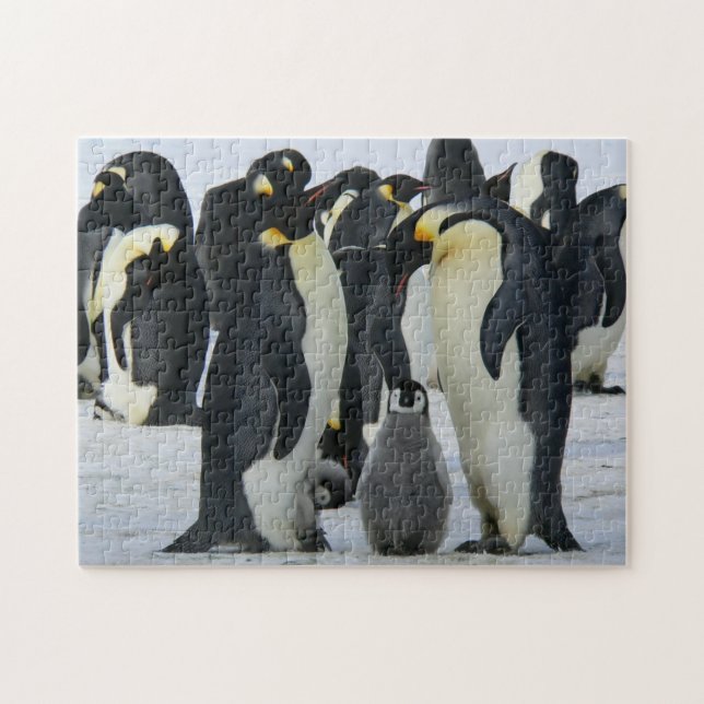 Bird Puzzles Bird Photograph Best Wildlife Photos Pussel (Horisontell)