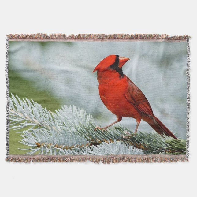 Bird red_blanket manta mysfilt (Framsidan)