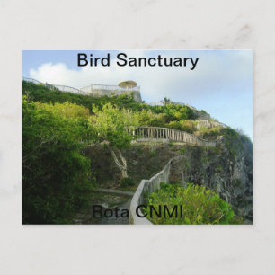 Bird Sanctuary Vykort